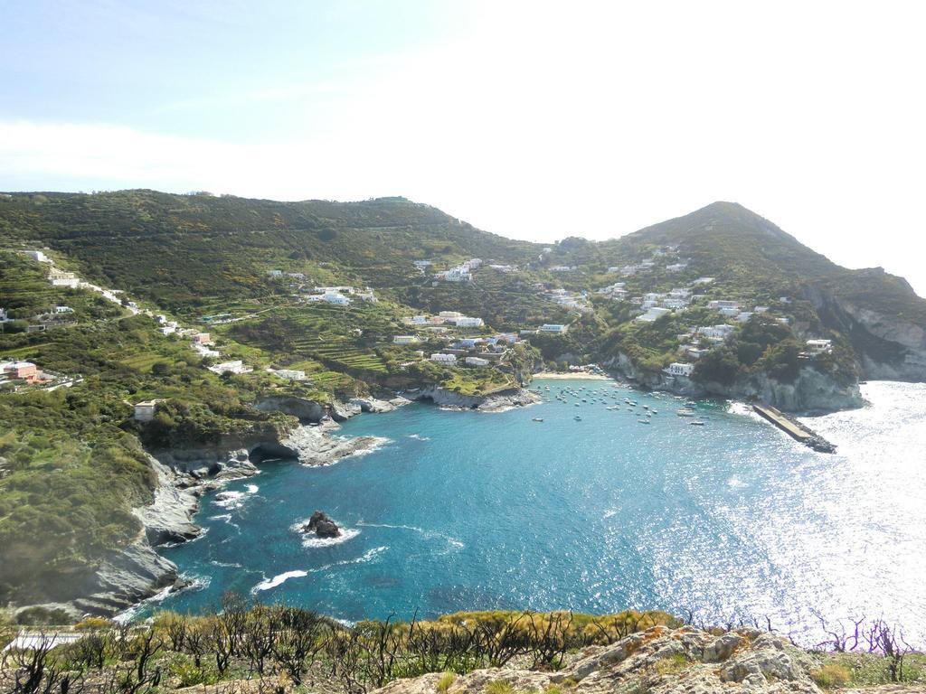 L'Incanto Di Cala Feola Ponza Eksteriør bilde